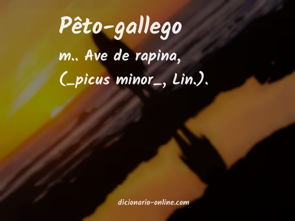 Significado de pêto-gallego