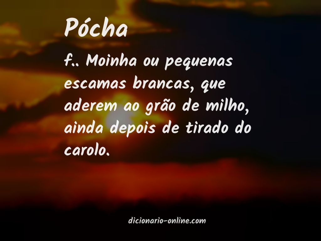 Significado de pócha