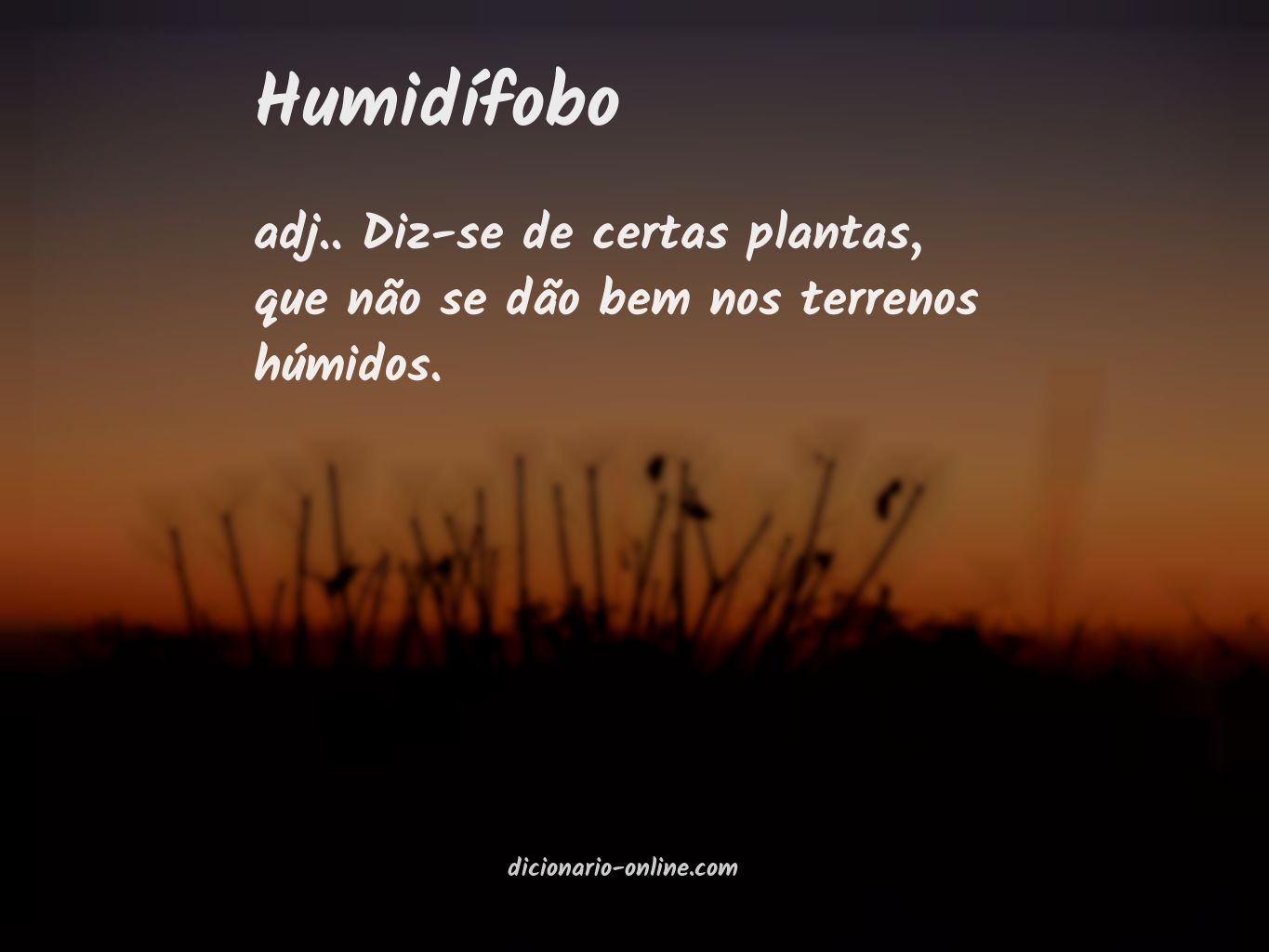 Significado de humidífobo