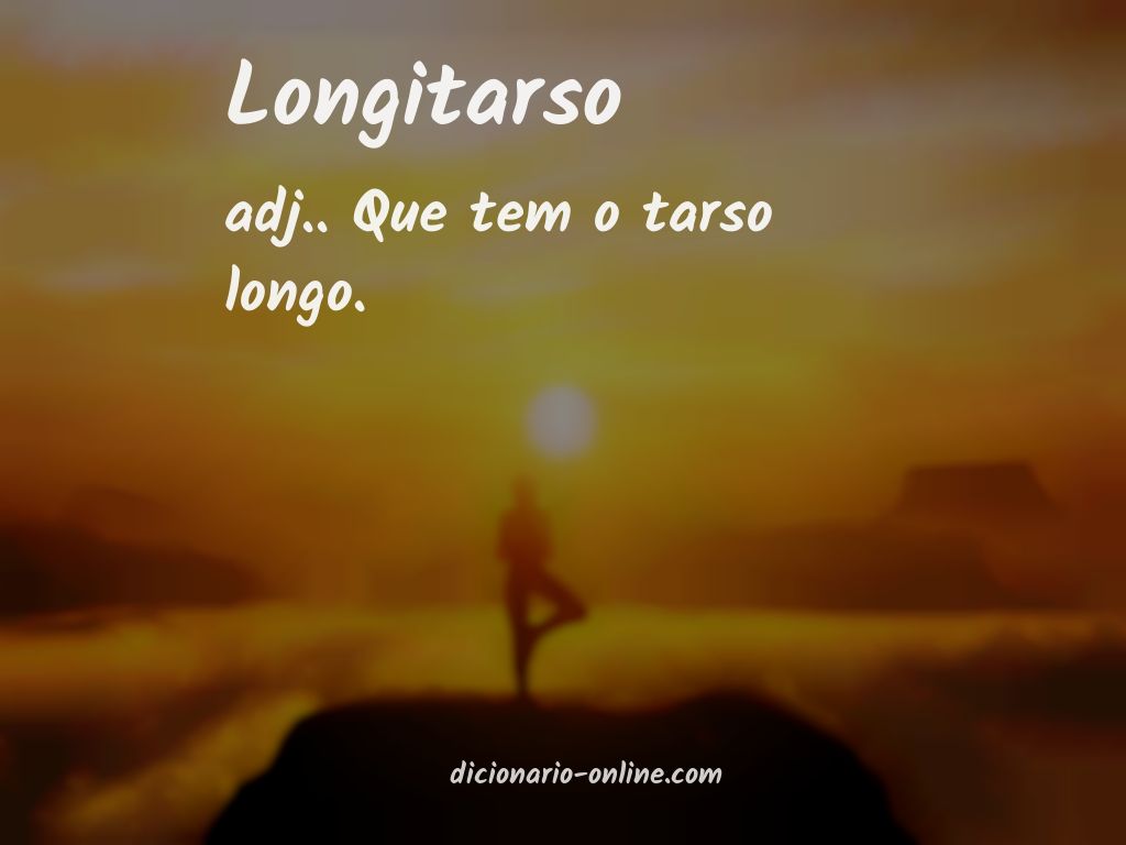 Significado de longitarso