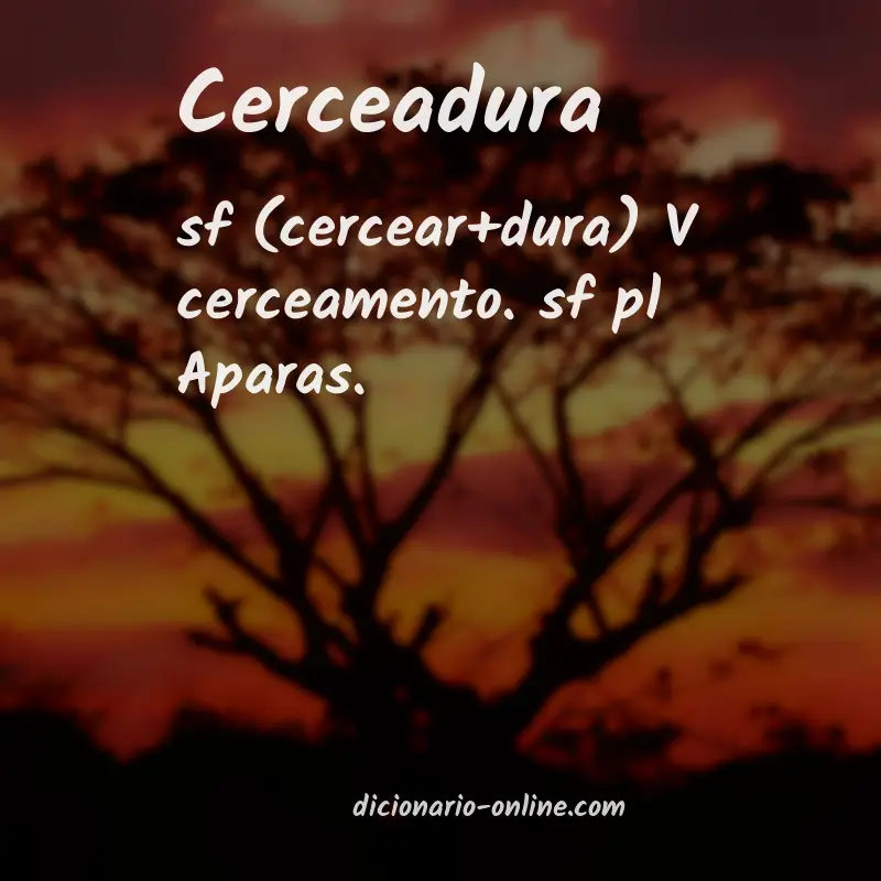 Significado de cerceadura