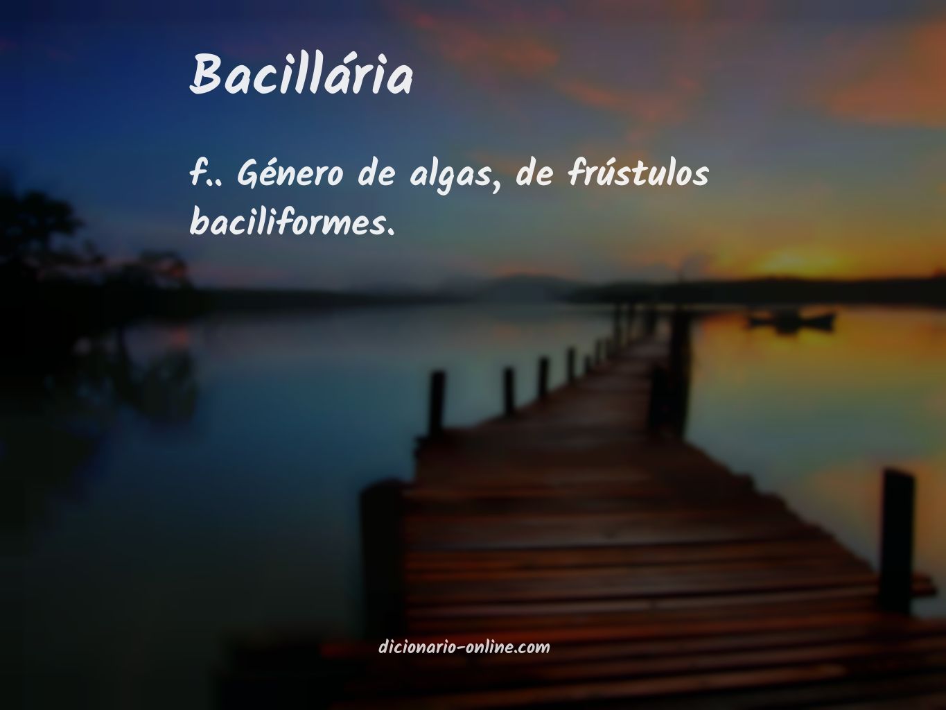 Significado de bacillária