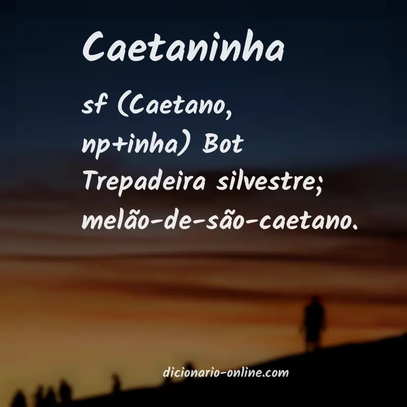 Significado de caetaninha