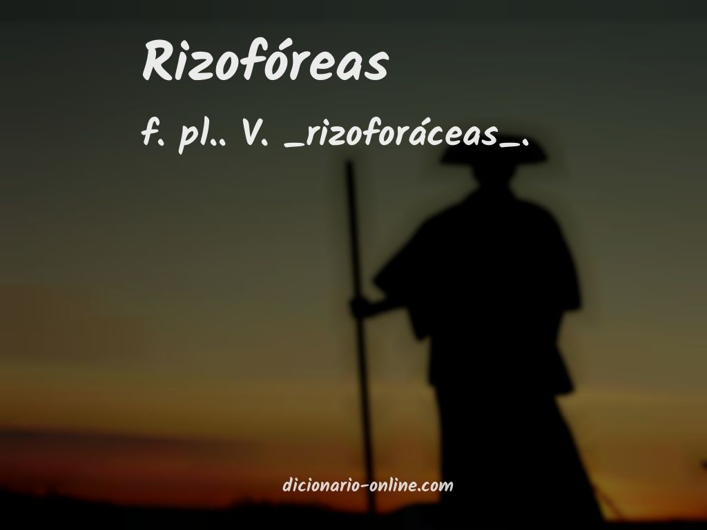 Significado de rizofóreas