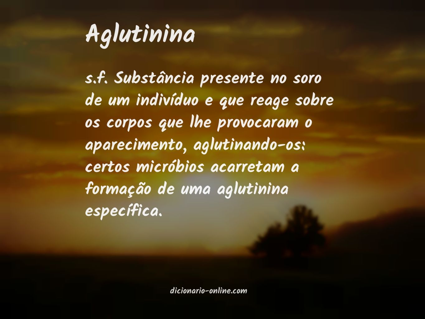 Significado de aglutinina