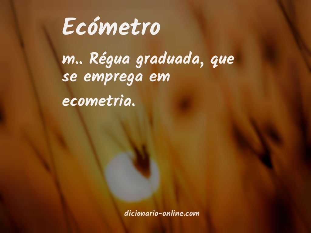 Significado de ecómetro