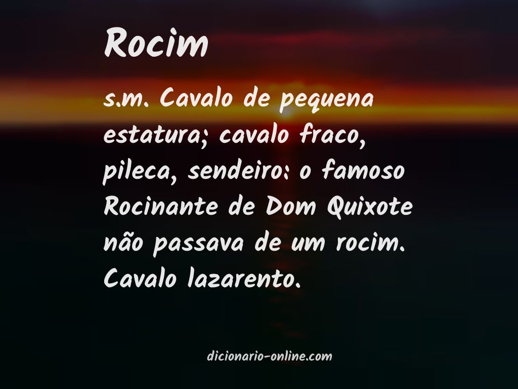 Significado de rocim