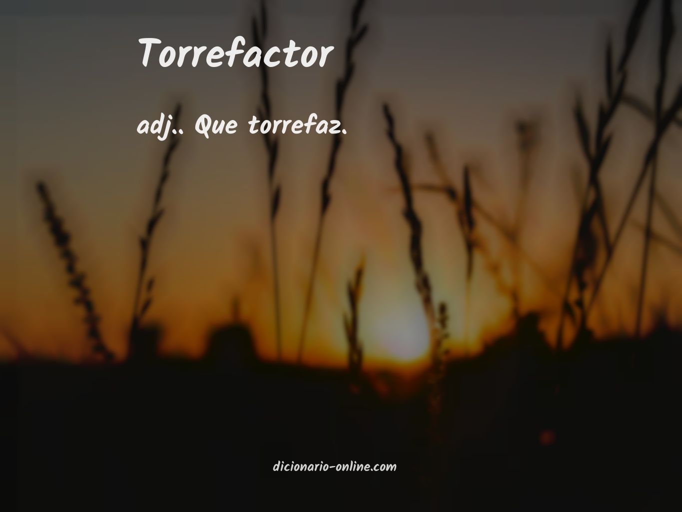 Significado de torrefactor