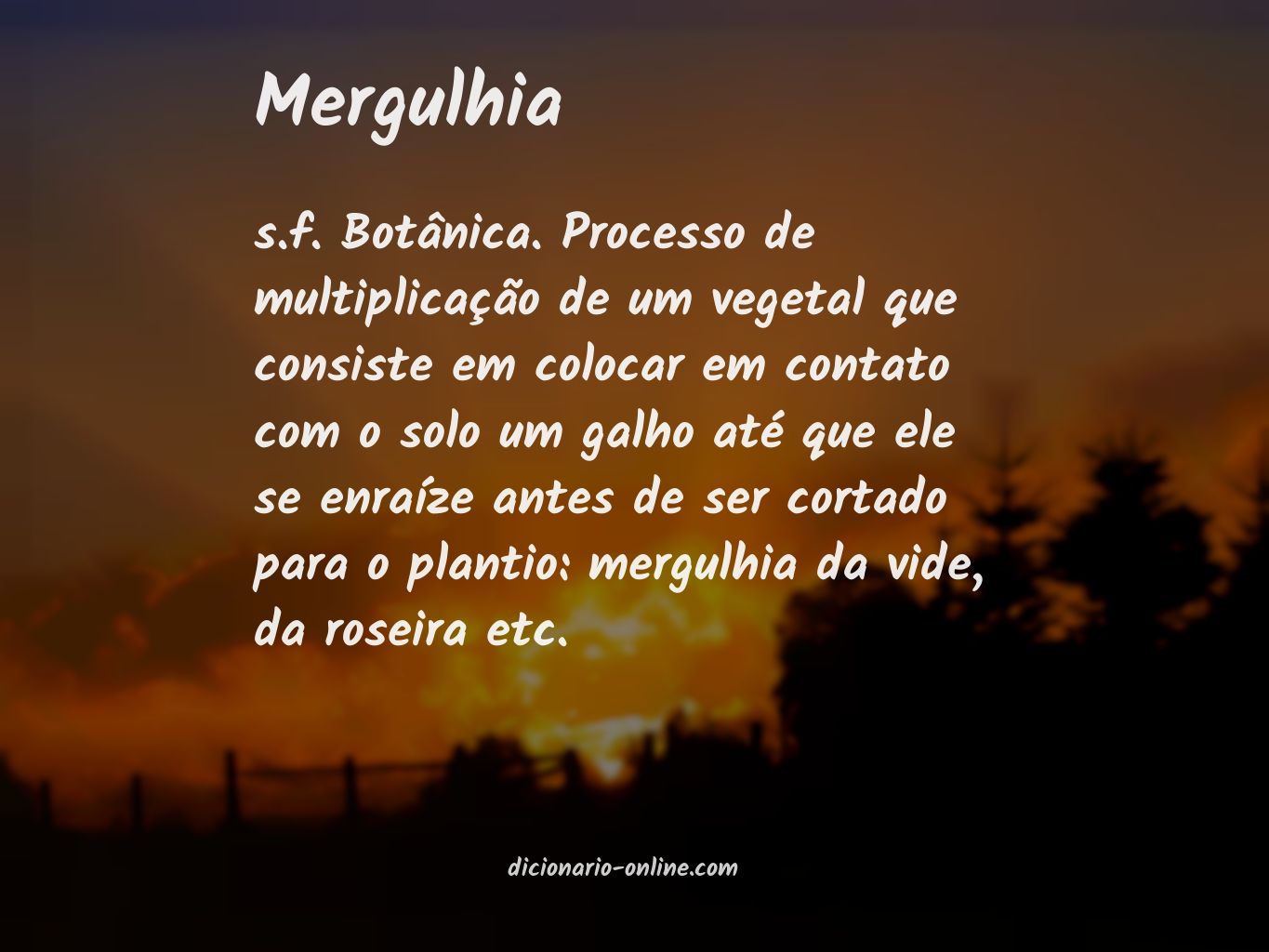 Significado de mergulhia