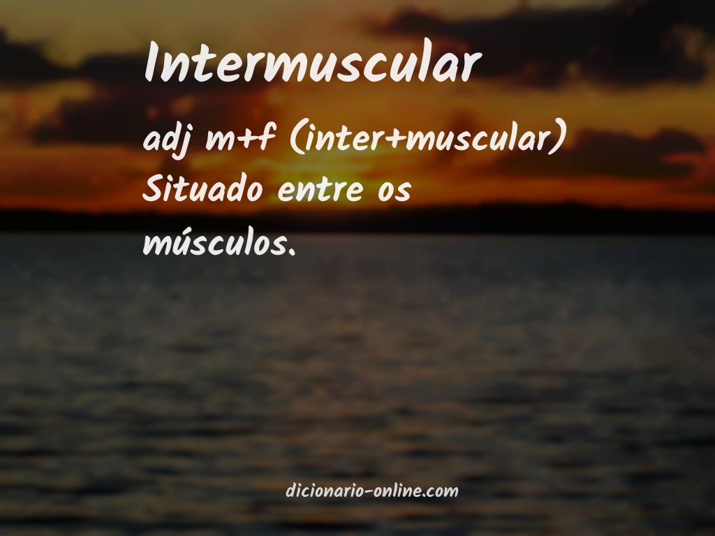 Significado de intermuscular