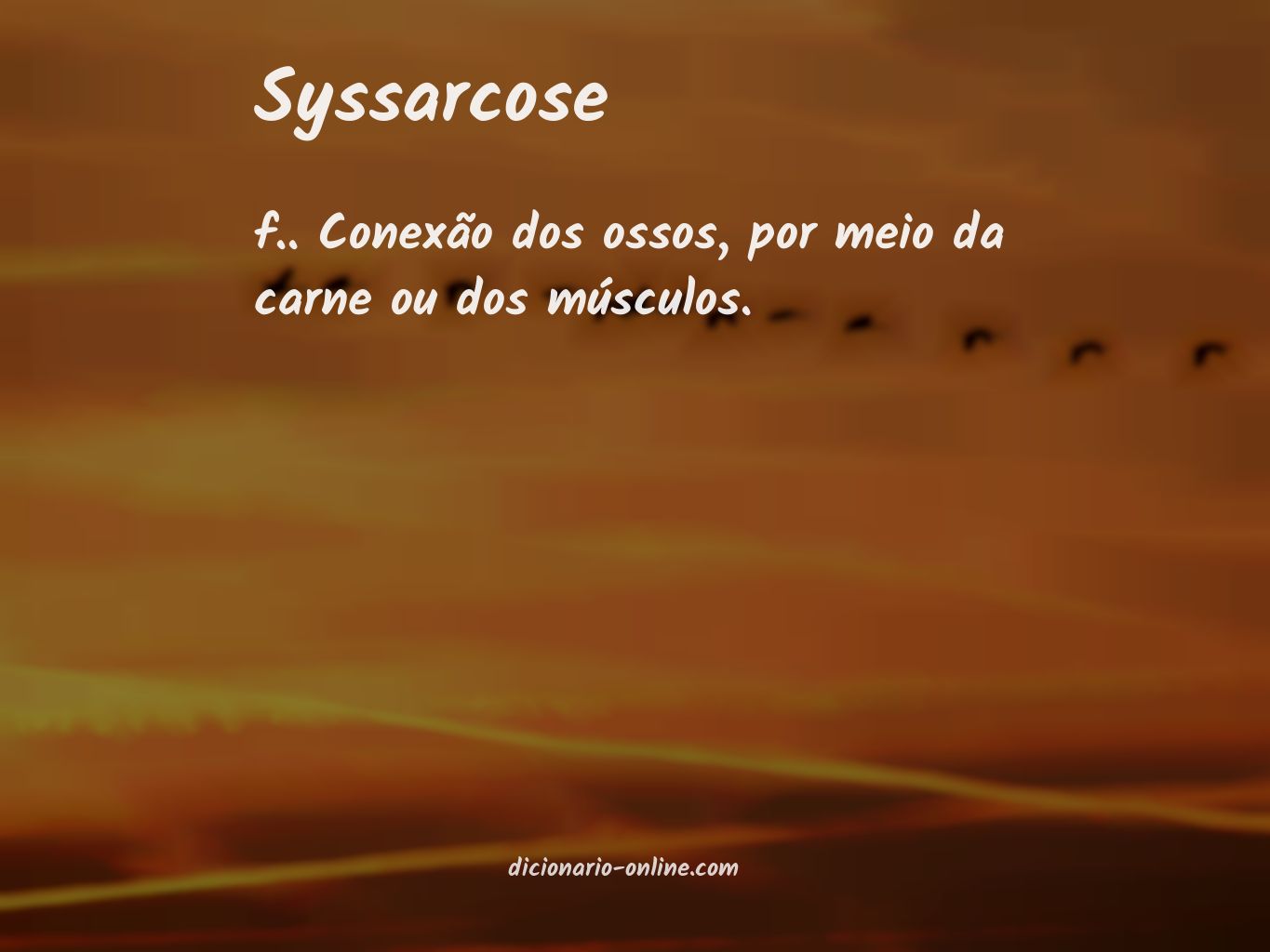 Significado de syssarcose