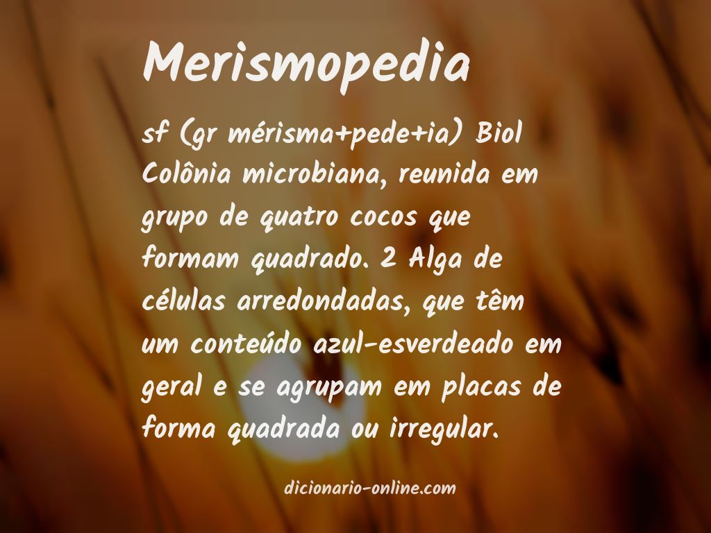 Significado de merismopedia