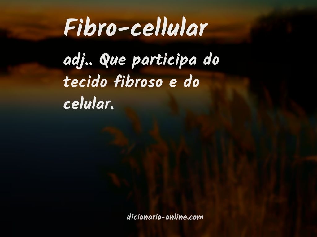 Significado de fibro-cellular