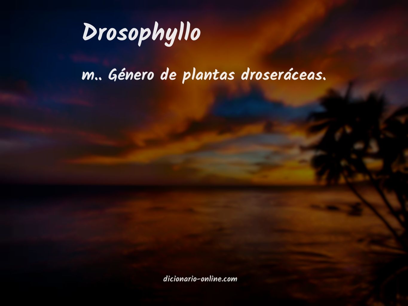Significado de drosophyllo