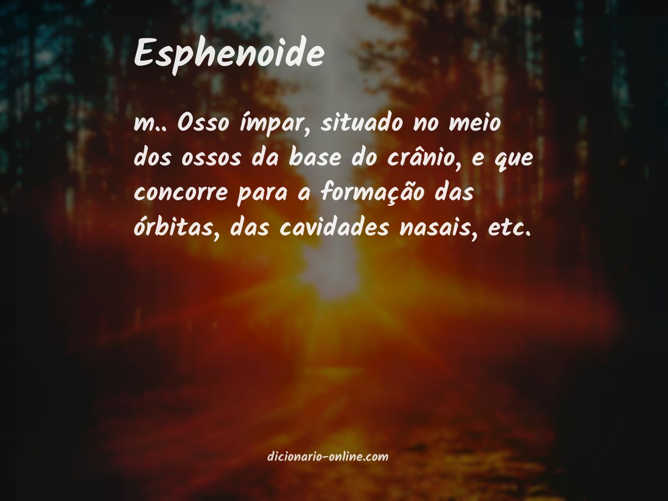 Significado de esphenoide