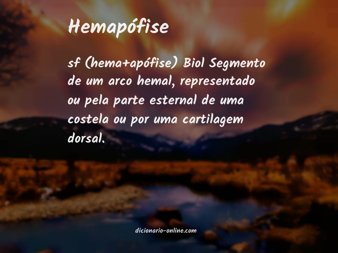 Significado de hemapófise
