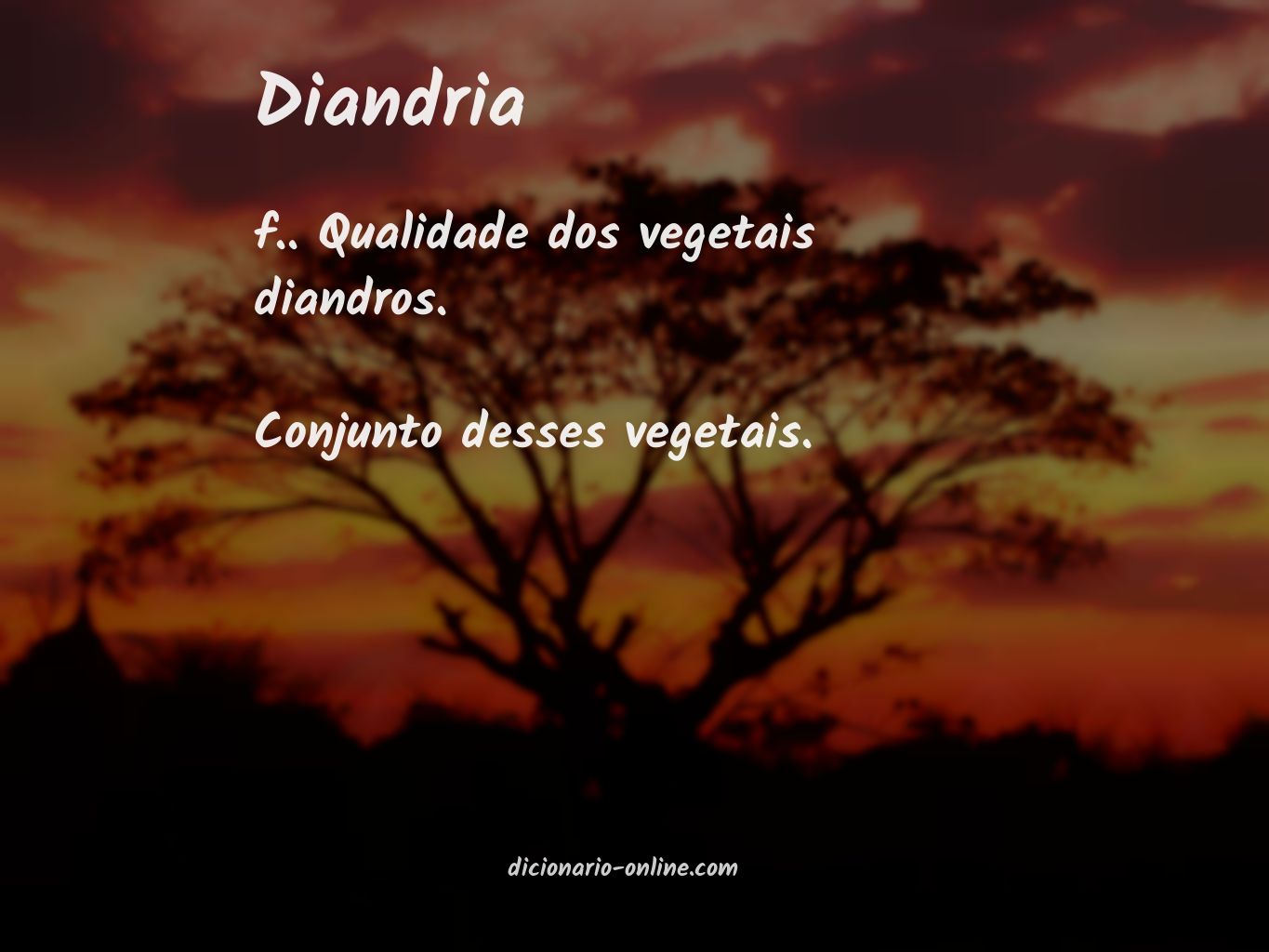 Significado de diandria