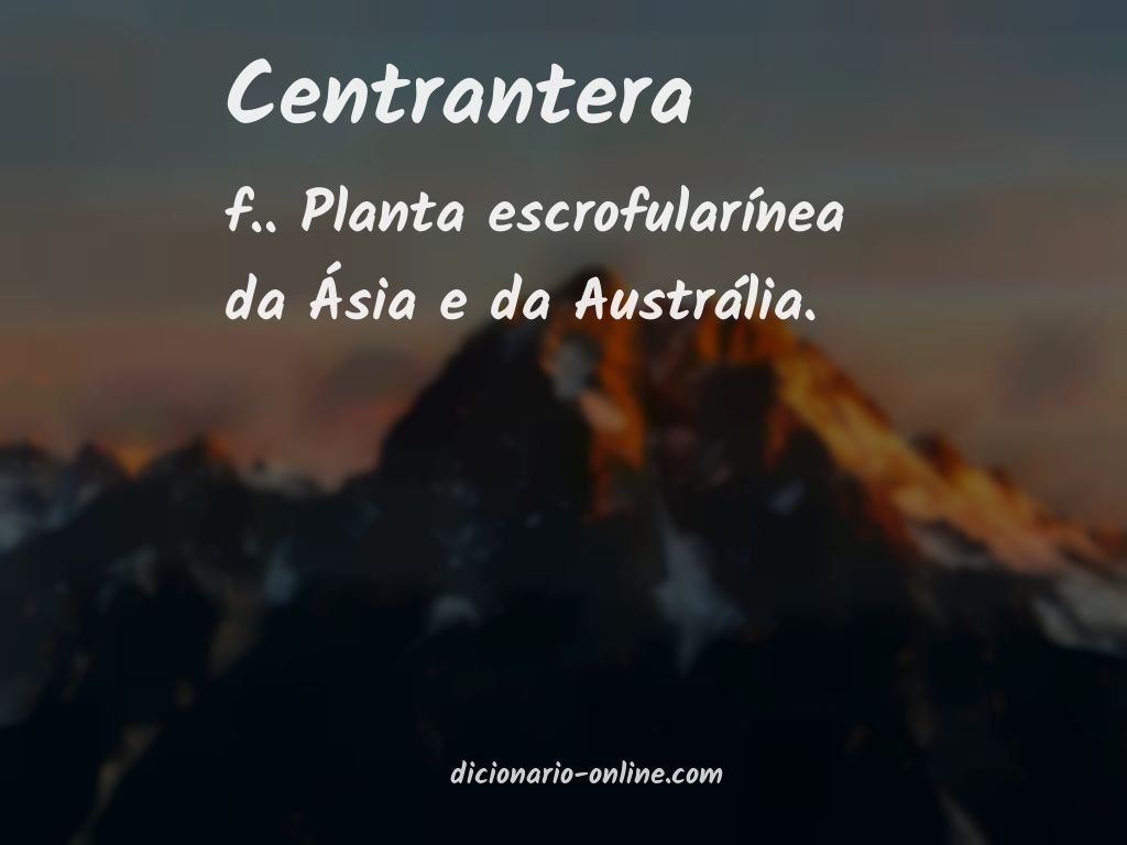 Significado de centrantera