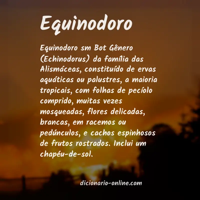 Significado de equinodoro