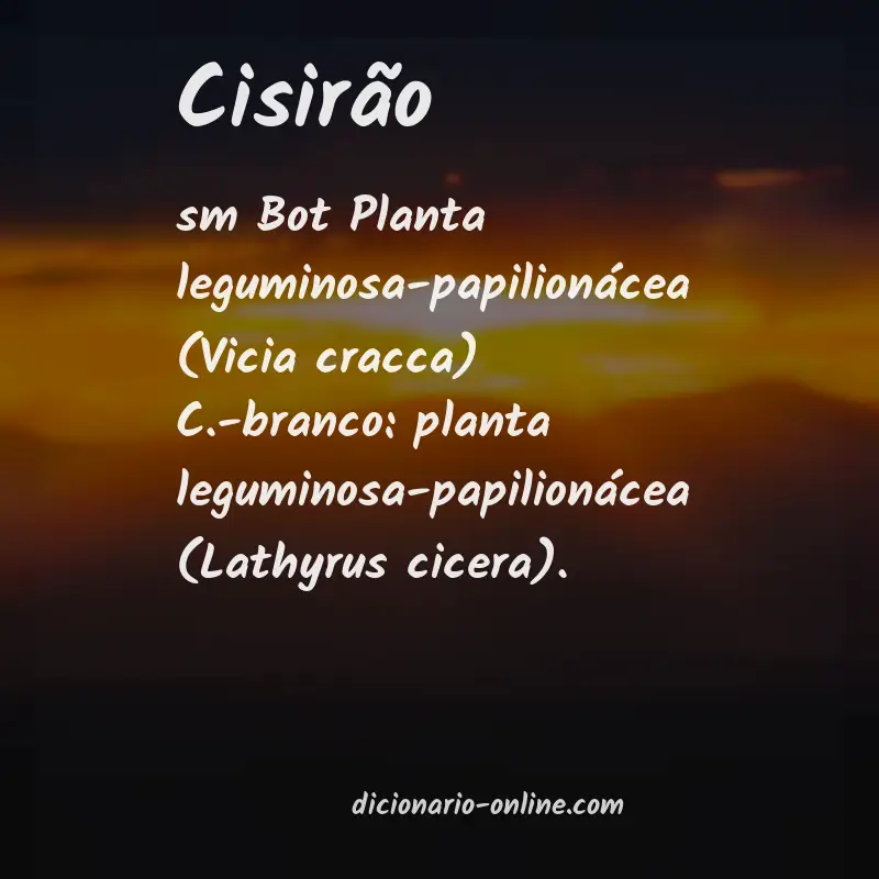 Significado de cisirão