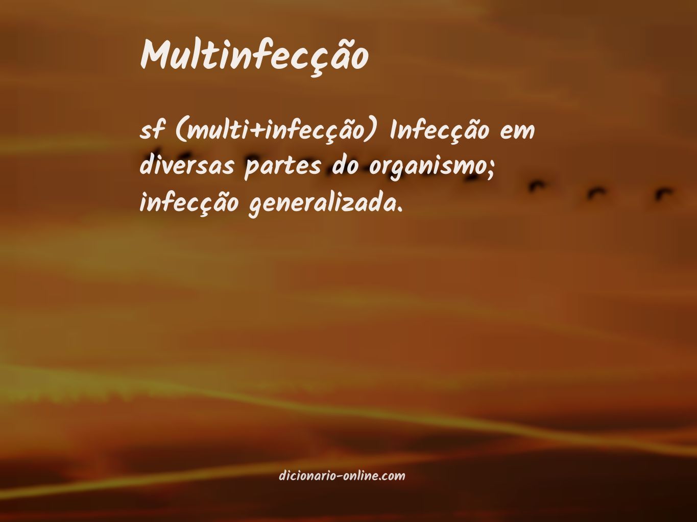 Significado de multinfecção