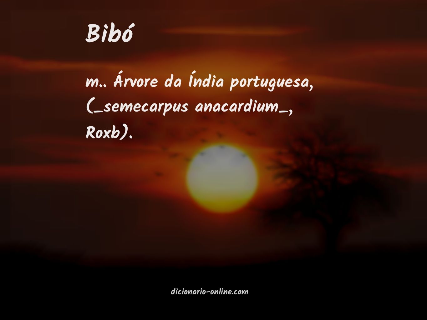 Significado de bibó