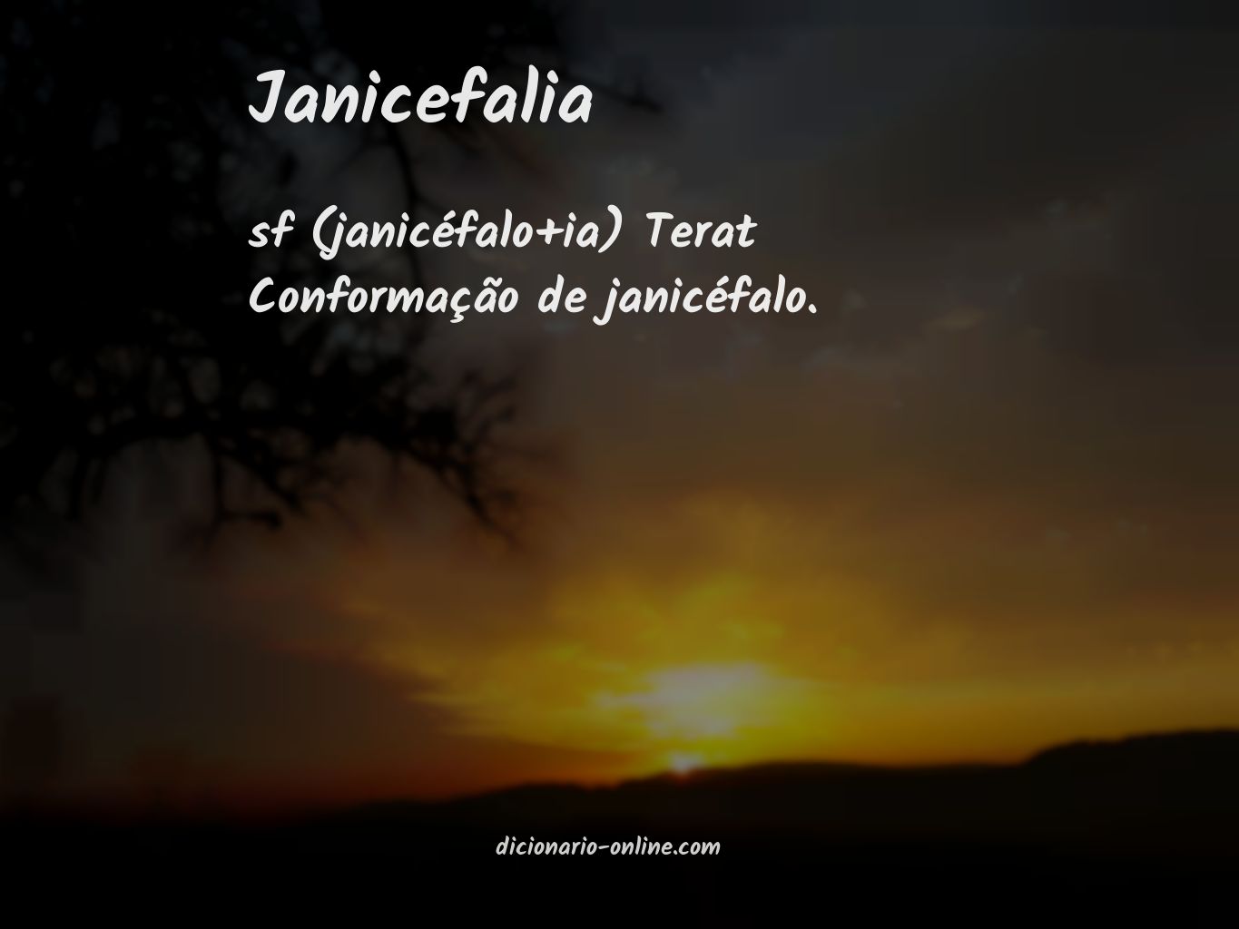 Significado de janicefalia