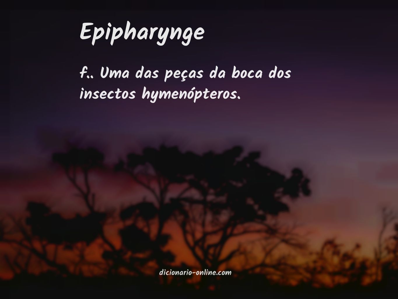 Significado de epipharynge