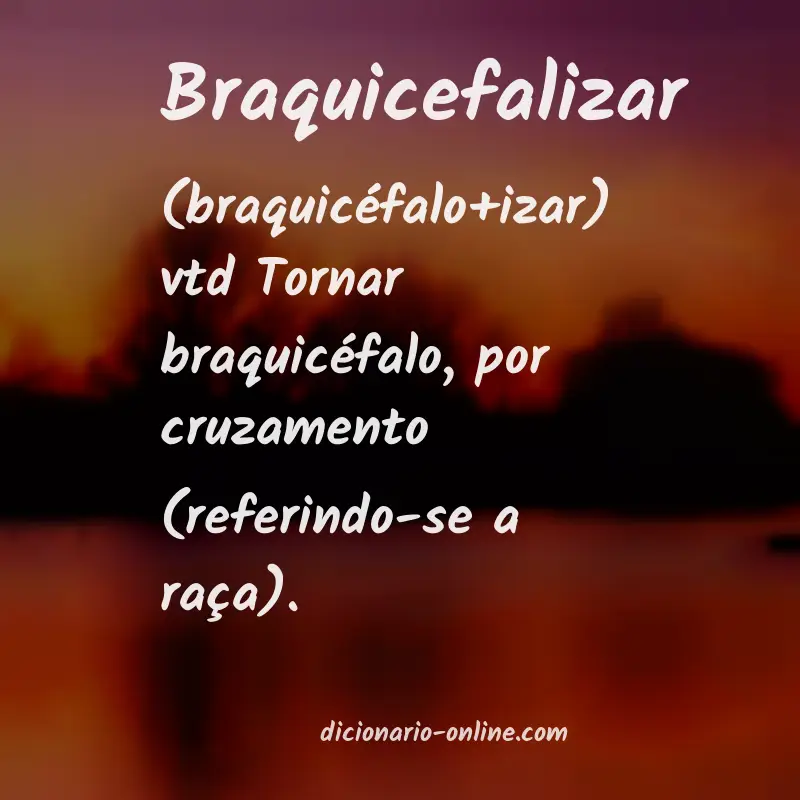 Significado de braquicefalizar