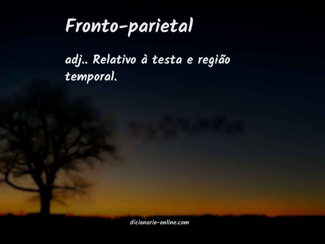 Significado de fronto-parietal