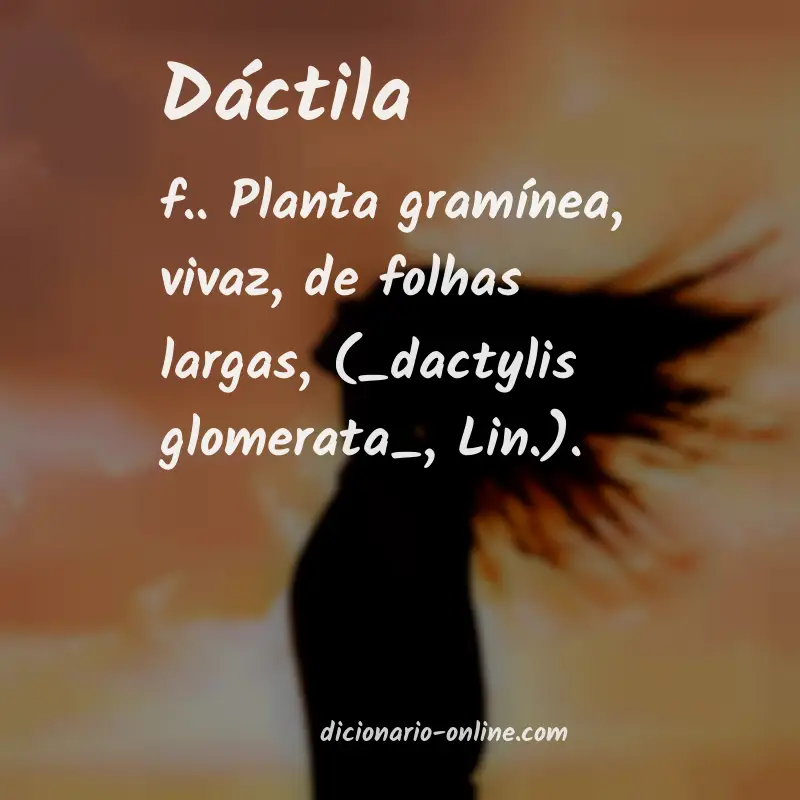 Significado de dáctila