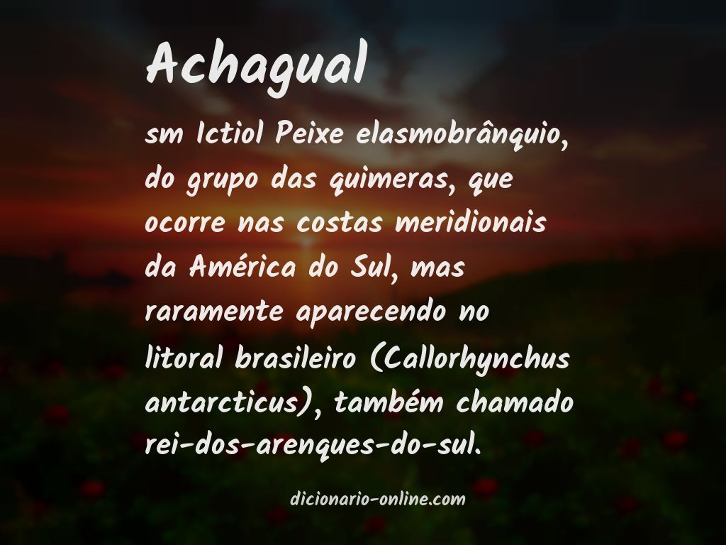 Significado de achagual