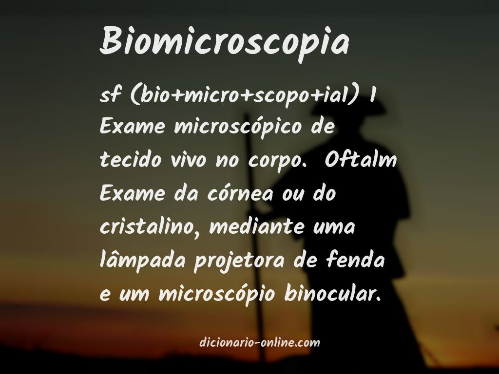 Significado de biomicroscopia
