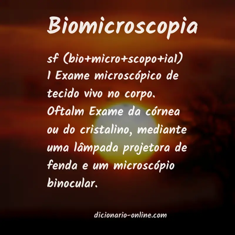Significado de biomicroscopia