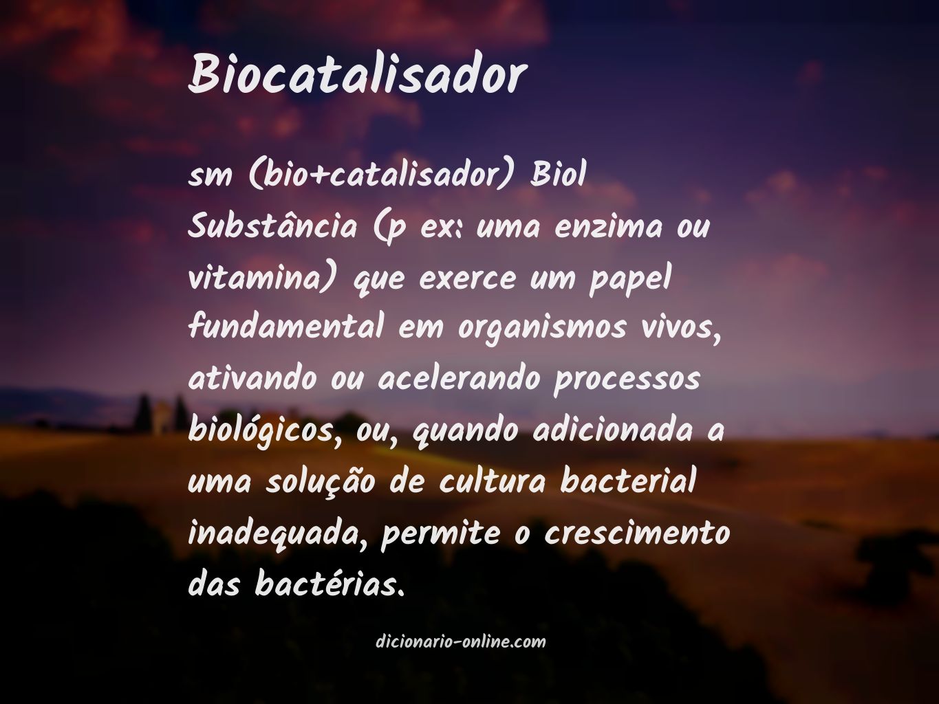 Significado de biocatalisador