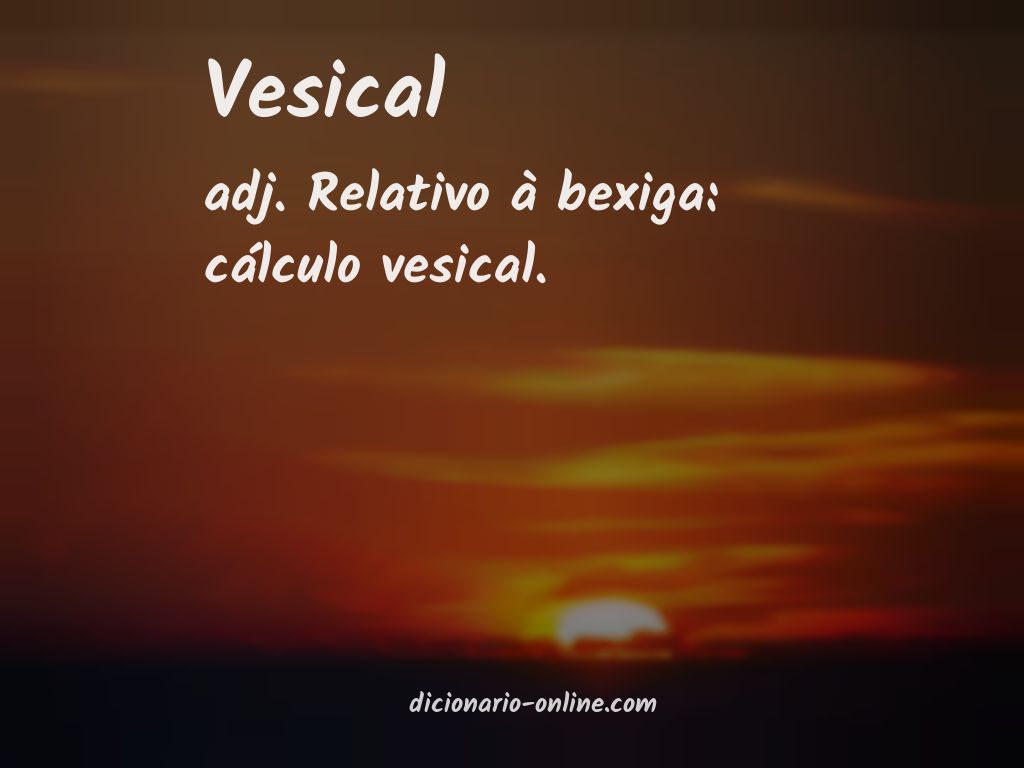 Significado de vesical