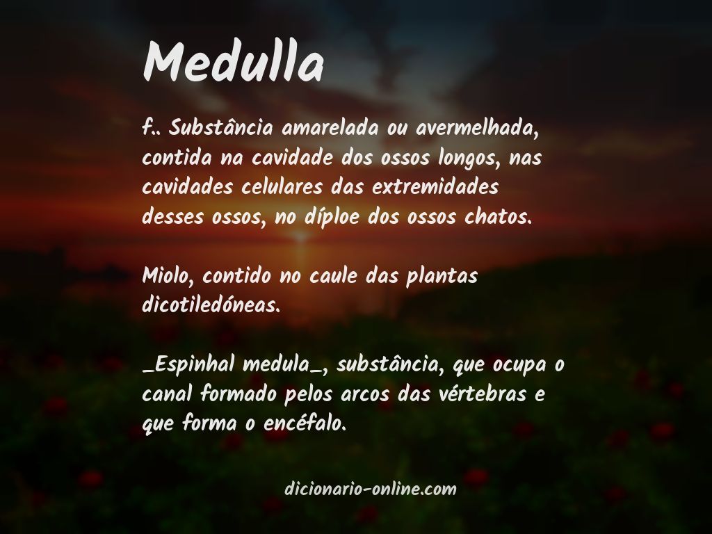 Significado de medulla