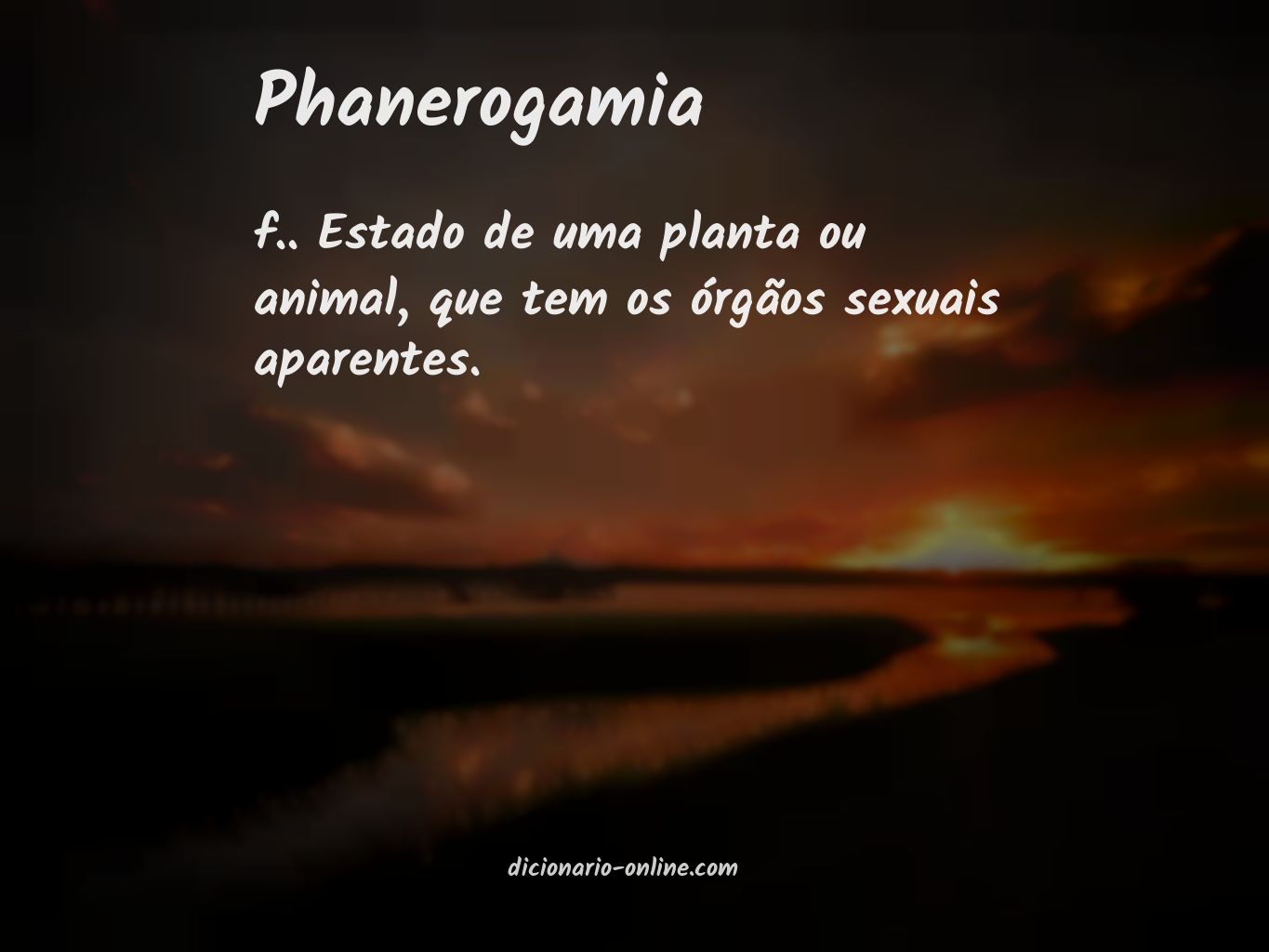 Significado de phanerogamia