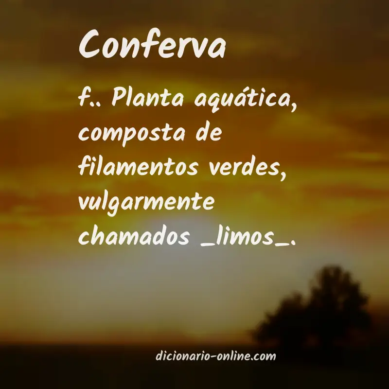 Significado de conferva