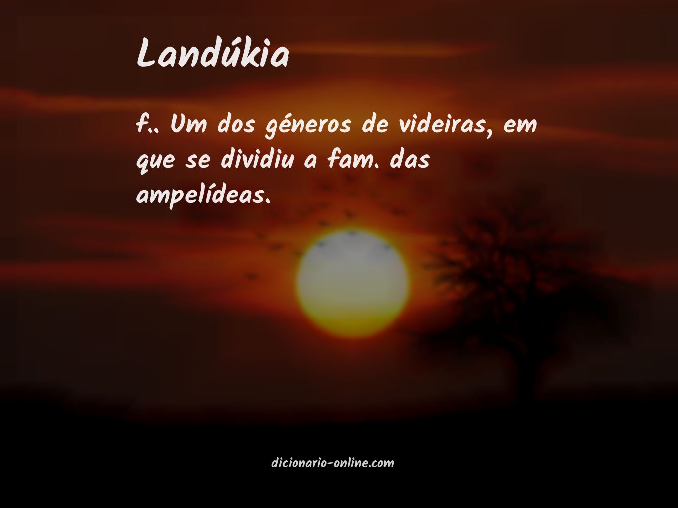 Significado de landúkia