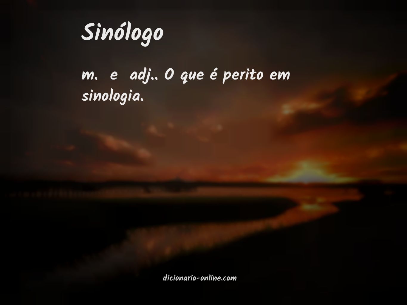 Significado de sinólogo