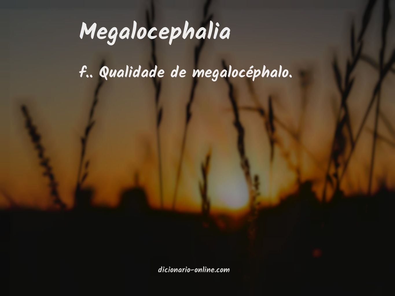 Significado de megalocephalia