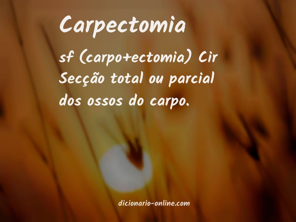 Significado de carpectomia