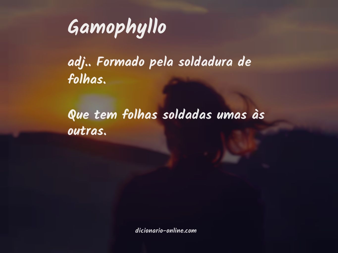 Significado de gamophyllo