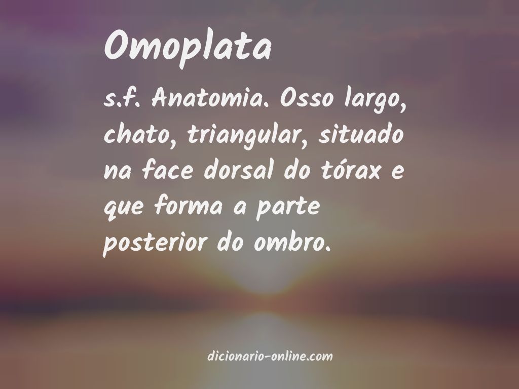 Significado de omoplata