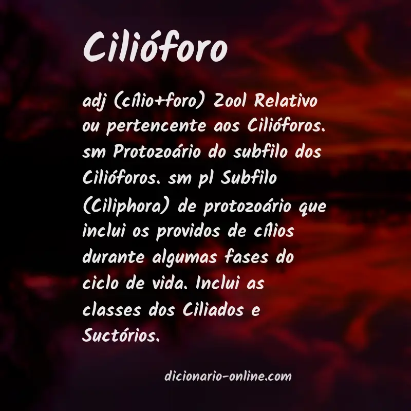 Significado de cilióforo