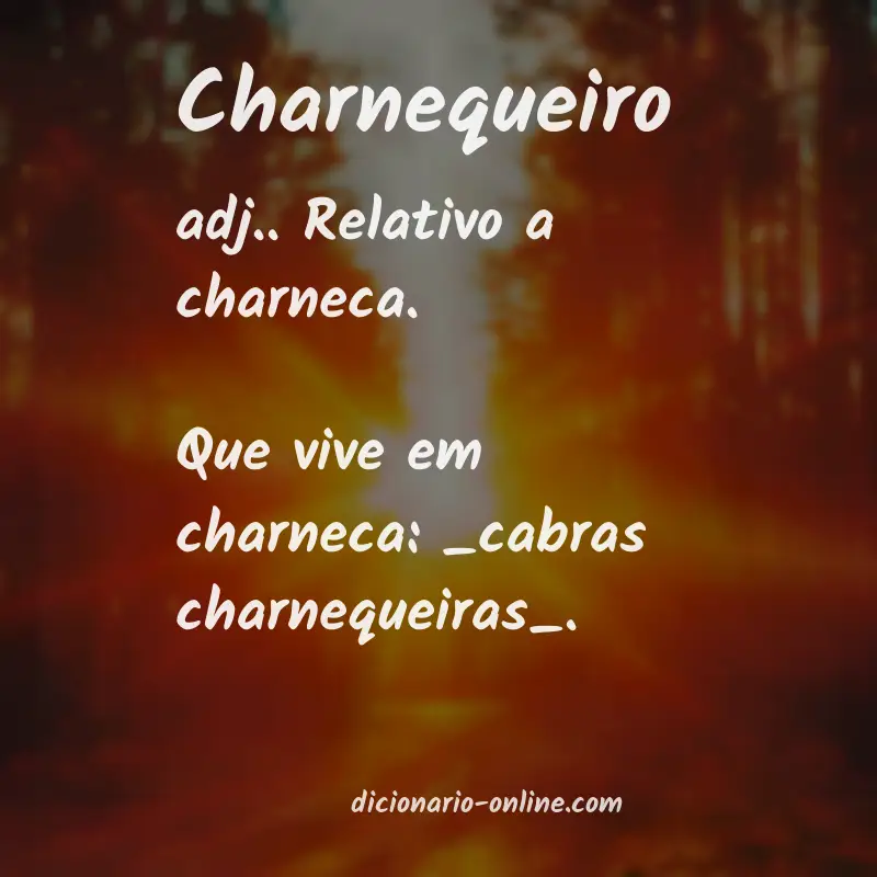 Significado de charnequeiro