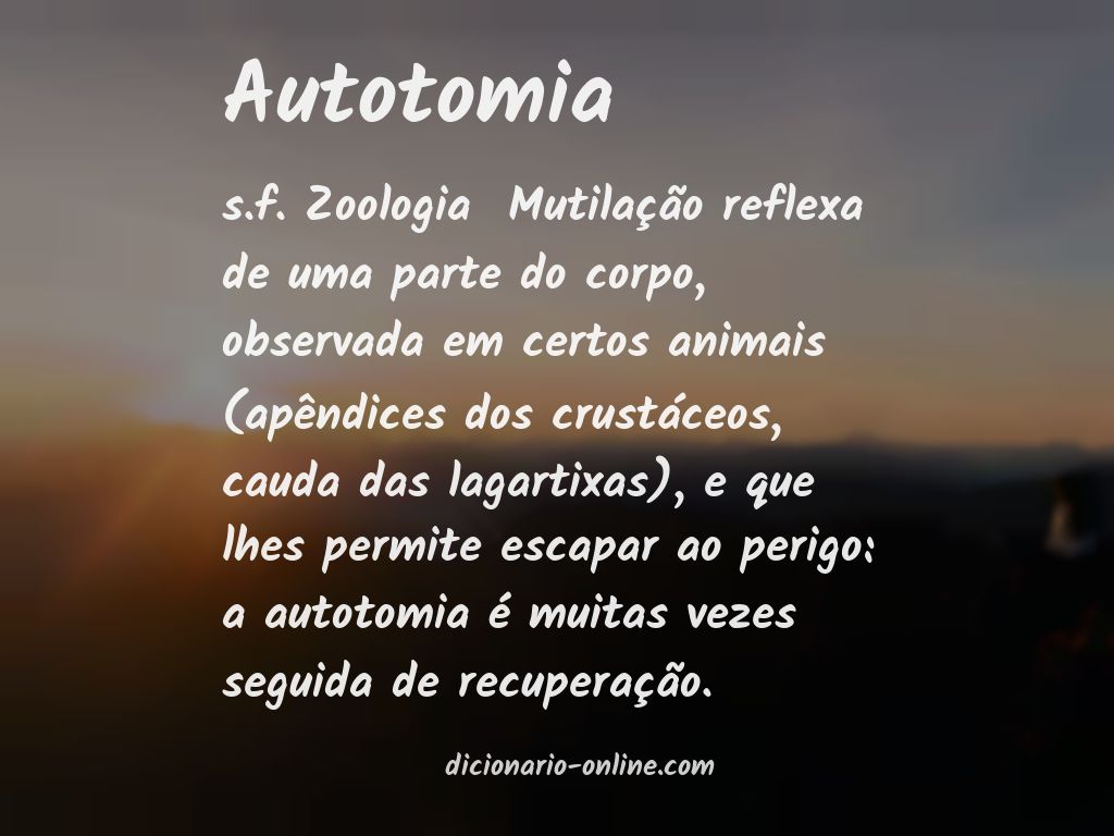 Significado de autotomia