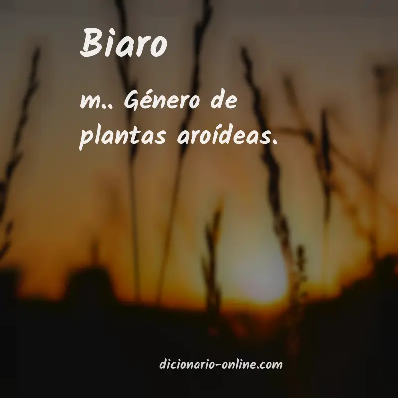 Significado de biaro