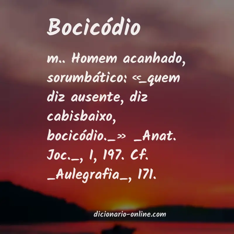 Significado de bocicódio